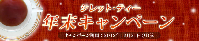 年末キャンペーンセット　キャンペーン期間：12月31日(月)